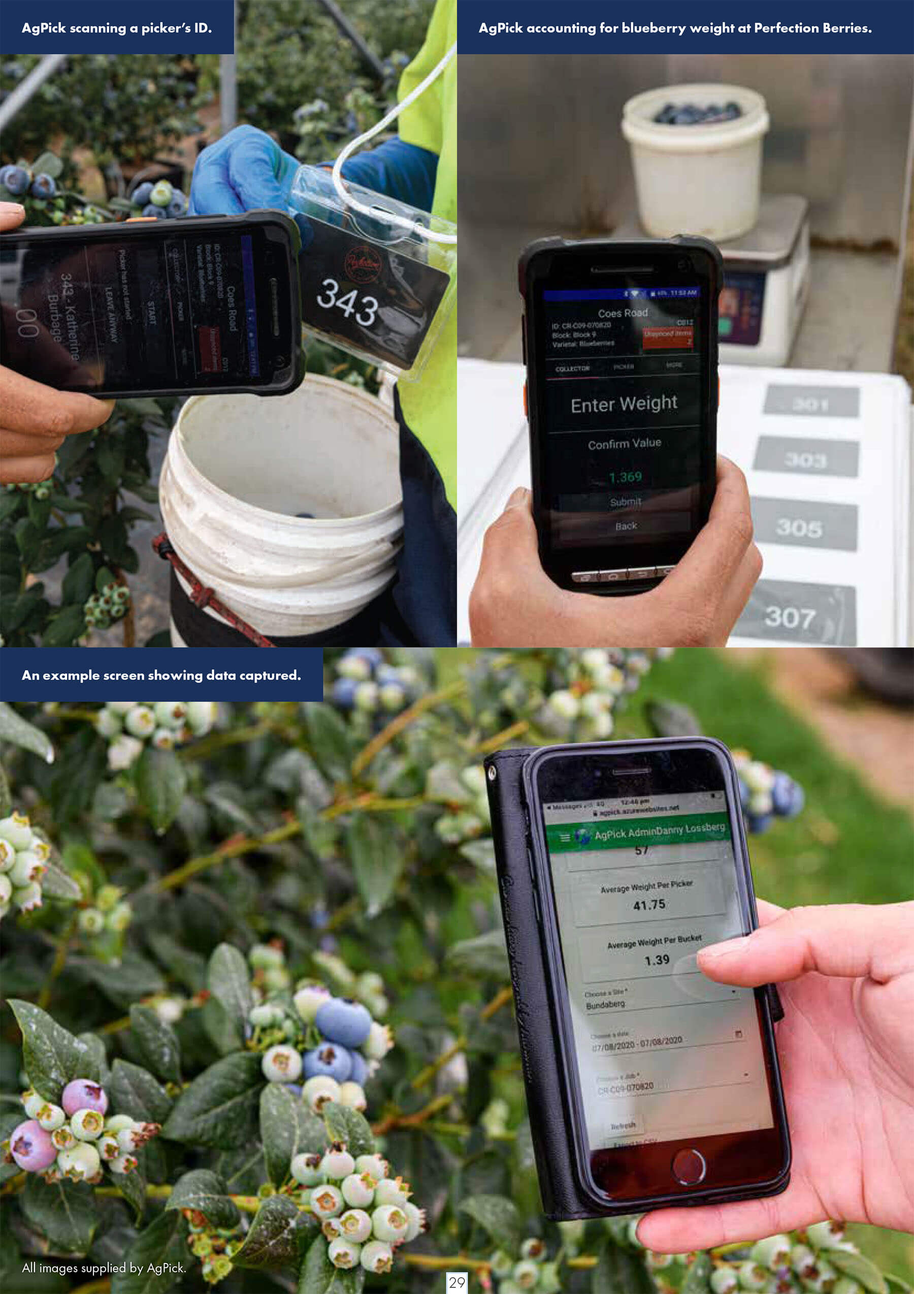 Australian Berry Journal - Harvest Technology - AgPick